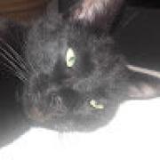 Avatar de ThierryDEVERA