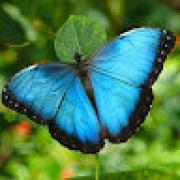 Avatar de PierrePierrot1