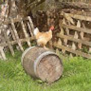 Avatar de LesFollesFriches