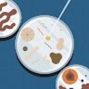 Avatar de ElisabethProvost