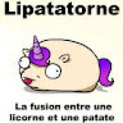 Avatar de GlobulePatate