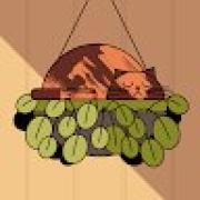 Avatar de TitouanLorant