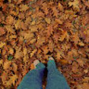 Avatar de clem0043