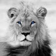 Avatar de JK24