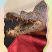 Avatar de JeanBeauvi
