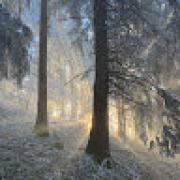 Avatar de NadineGarnier