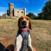 Avatar de AntoineDejob