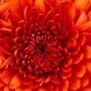 Avatar de yazmineyac