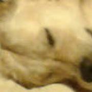 Avatar de LudoLudo4