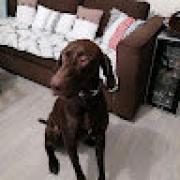 Avatar de FranoisForneiro