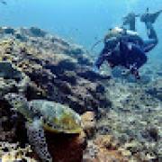 Avatar de tomhaddad1