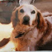 Avatar de 47120portofino