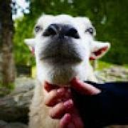 Avatar de Quentinvalla