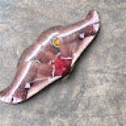 Avatar de Dino3