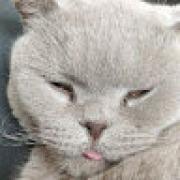 Avatar de LaetitiaDreux