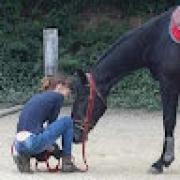 Avatar de BndicteBARRE