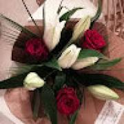 Avatar de Virginiemathulog