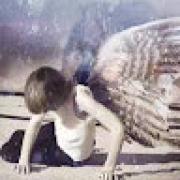 Avatar de TheDrWho62BruceMacav