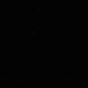 Avatar de AlanAlanFoxRenard