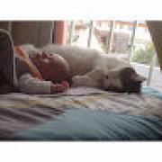 Avatar de JessicaClaverie