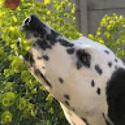 Avatar de STEPHANIEDELORME