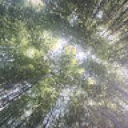 Avatar de emmanuelleforest