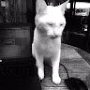 Avatar de ThomasM3