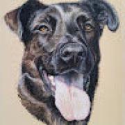 Avatar de PaulinePriez