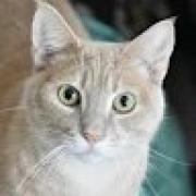 Avatar de AlixPailhon