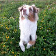 Avatar de maevaaaaaaaaaaaaaaaaaaa