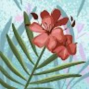 Avatar de RenataFilipaCostaRoz