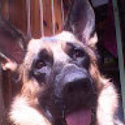 Avatar de lorenzoMicheluzzi