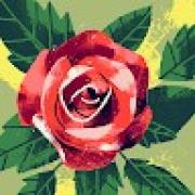 Avatar de SihamKHACHAB