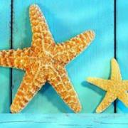 Avatar de lorenepapet