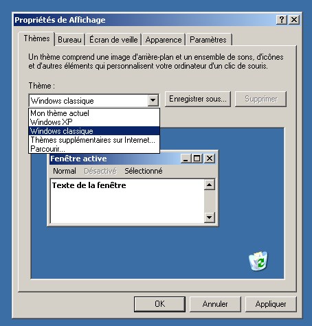 Bug affichage Windows XP