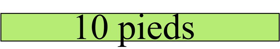 10 pieds