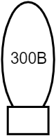 300b