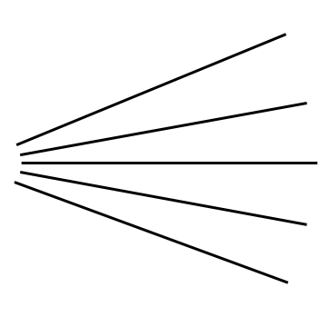 angle camera