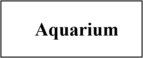 aquarium