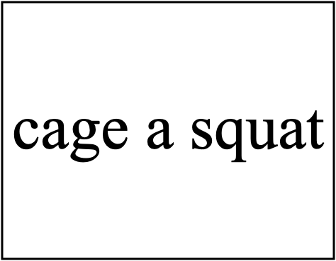 CAGE A SQUAT