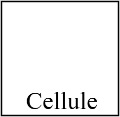 Cellule
