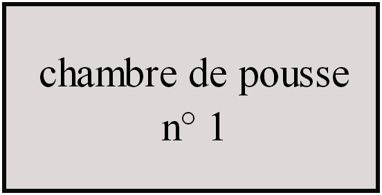 chambre de pousse n°1