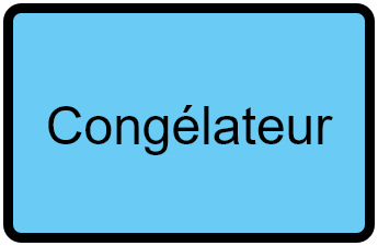 Congel Coffre 110/70