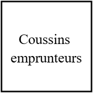 Coussins  emprunteurs