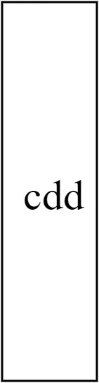cxdd
