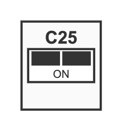 Disj. C25 2P