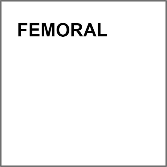 FEMORAL
