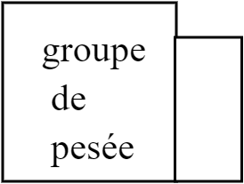 groupe pesée