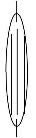 hamac