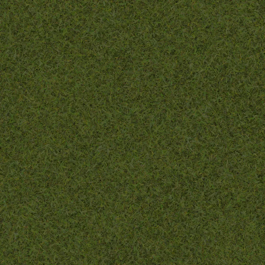 Herbe rase
